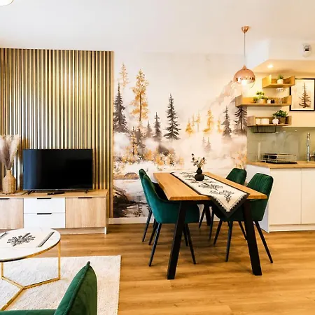 216 - Zakopianski - Sauna & Jacuzzi & Plac Zabaw & Silownia * 扎科帕内
