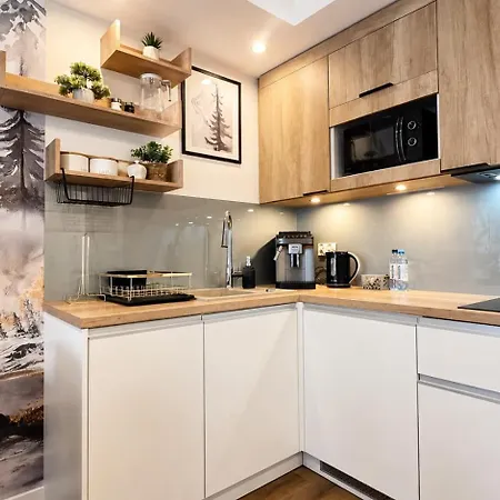 216 - Zakopianski - Sauna & Jacuzzi & Plac Zabaw & Silownia 扎科帕内